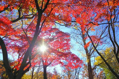 东莞到云南，腾冲+芒市5天